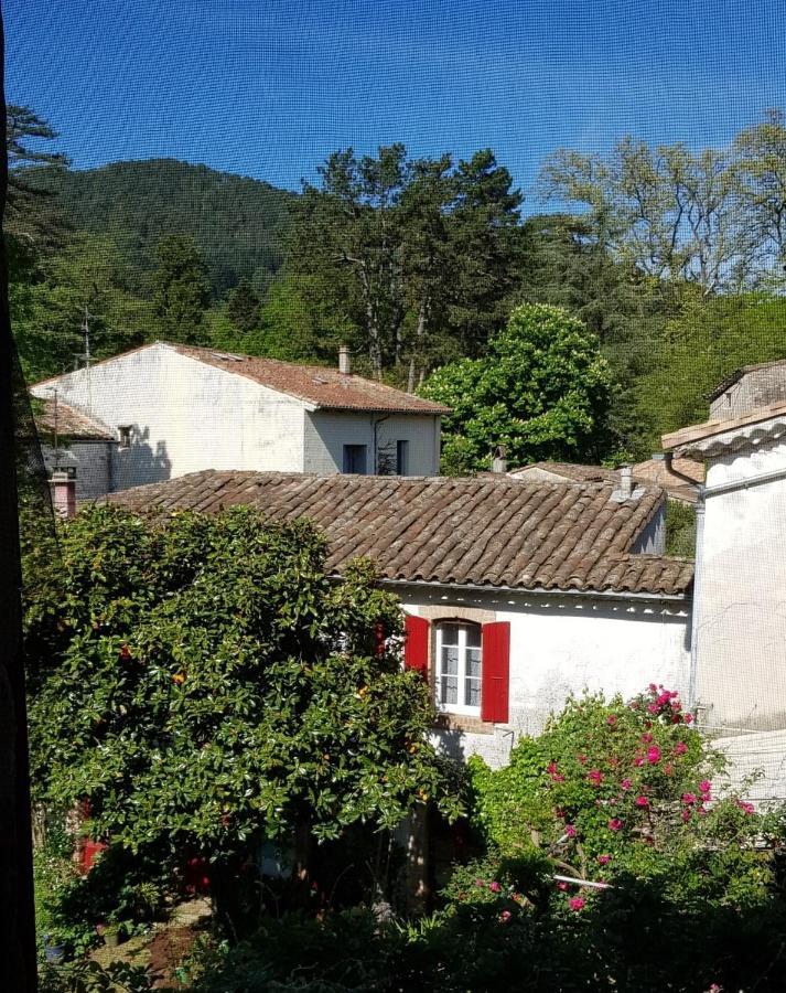 Vista Cevenol: appartement 2 chambres Saint-Jean-du-Gard Extérieur photo